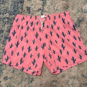 Bermies Cactus 2.0 5" Swim Trunks